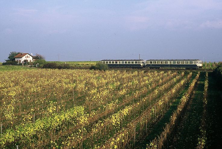 bei Niederflörsheim-Dalsheim, 28.10.1988