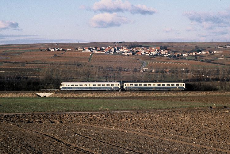bei Gundersheim, 20.12.1988