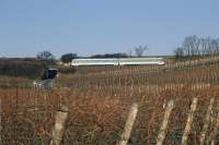 628 274 bei Dackenheim, März 1989