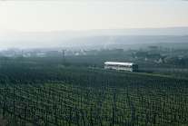 628 277 bei Freinsheim, März 1989